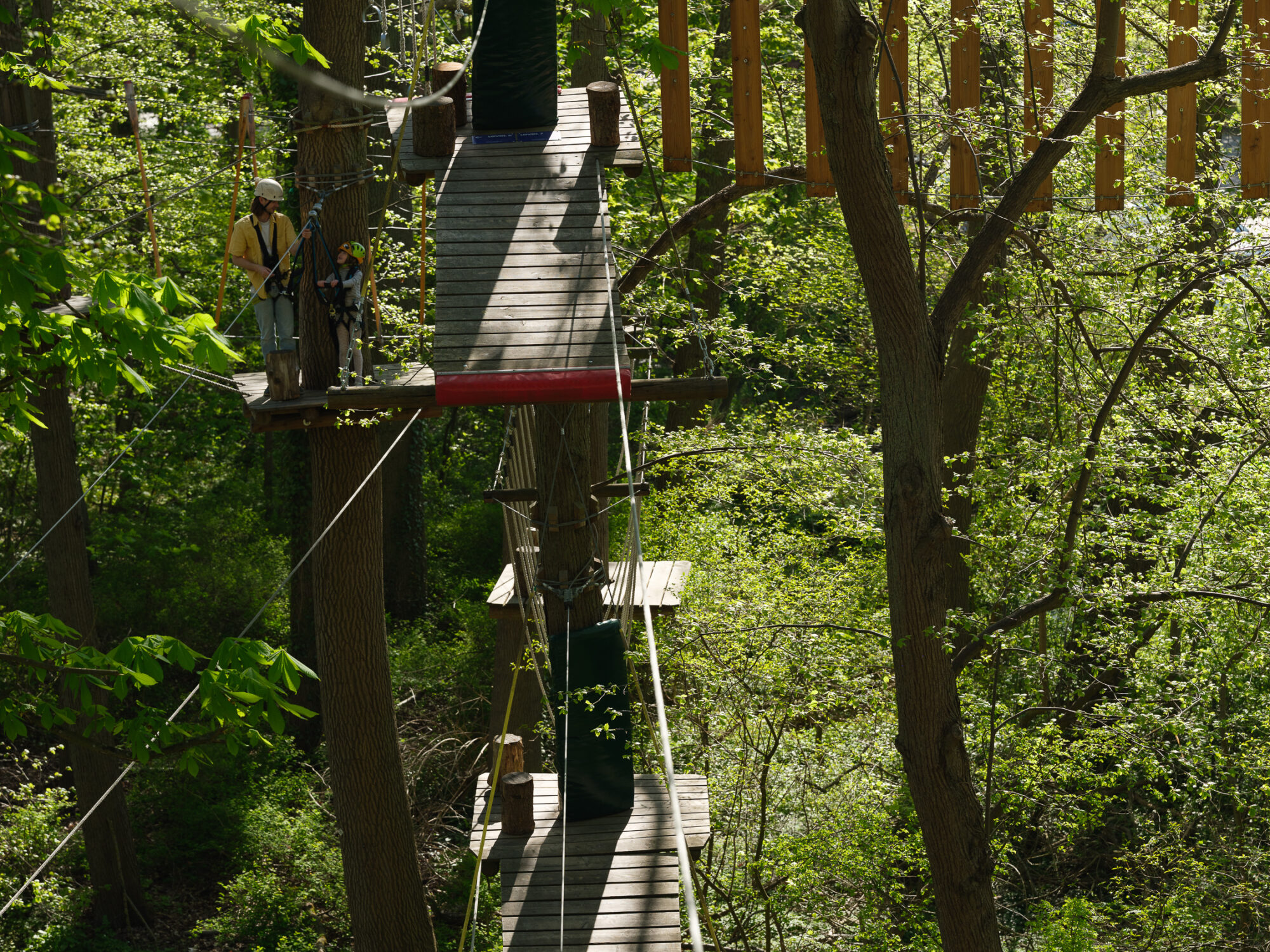7 × Sommer in Lübeck erleben 10 Kletterwald Travemünde im Sommer in der Umgebung von Lübeck
