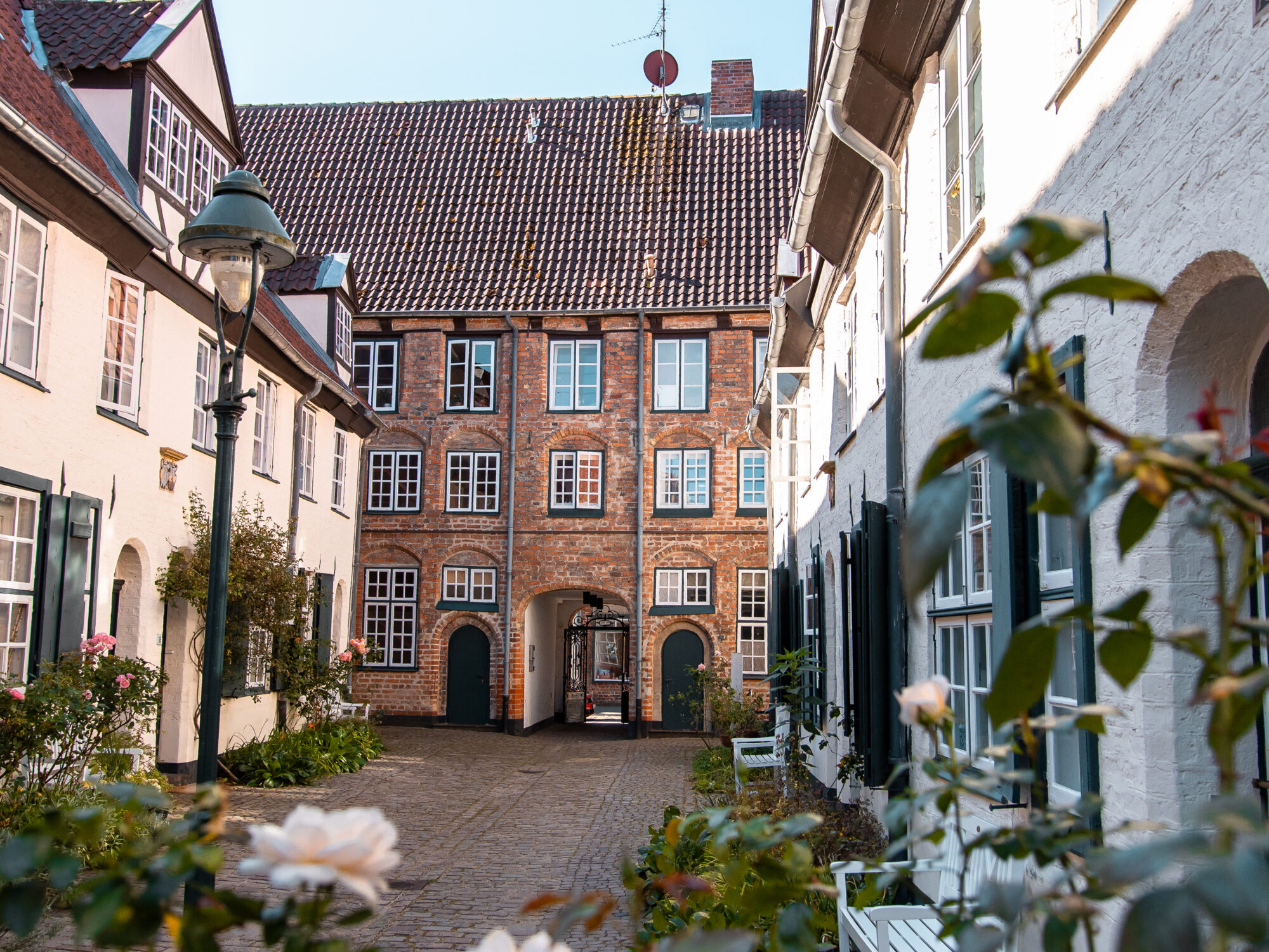 7 × Sommer in Lübeck erleben 16 Gepflasterter Innenhof mit weißen und roten Backsteinhäusern, Rosen im Vordergrund und einem historischen Gebäude im Hintergrund.