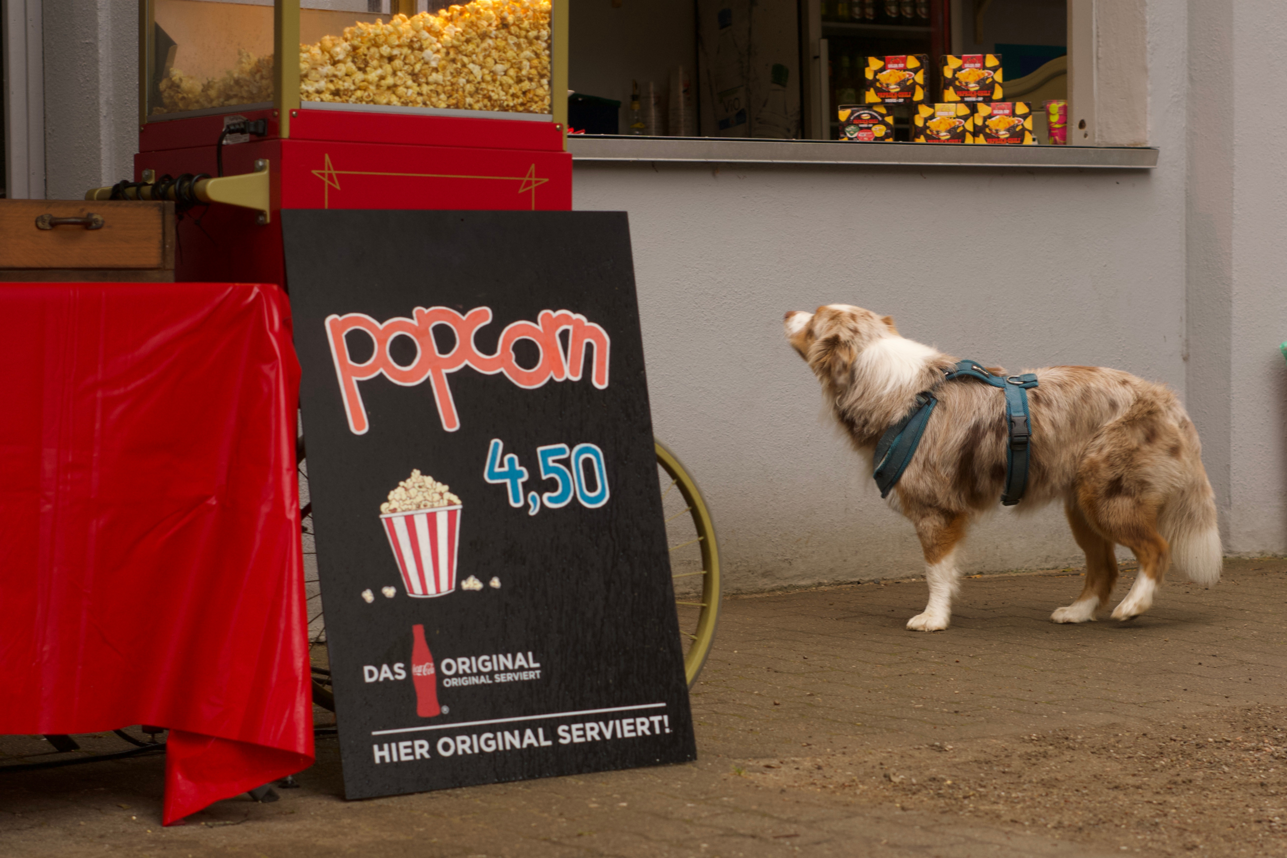 Freilichtbühne Lübeck 4 Popcorn zum Start der Veranstaltungen in der Freilichtbühne Lübeck