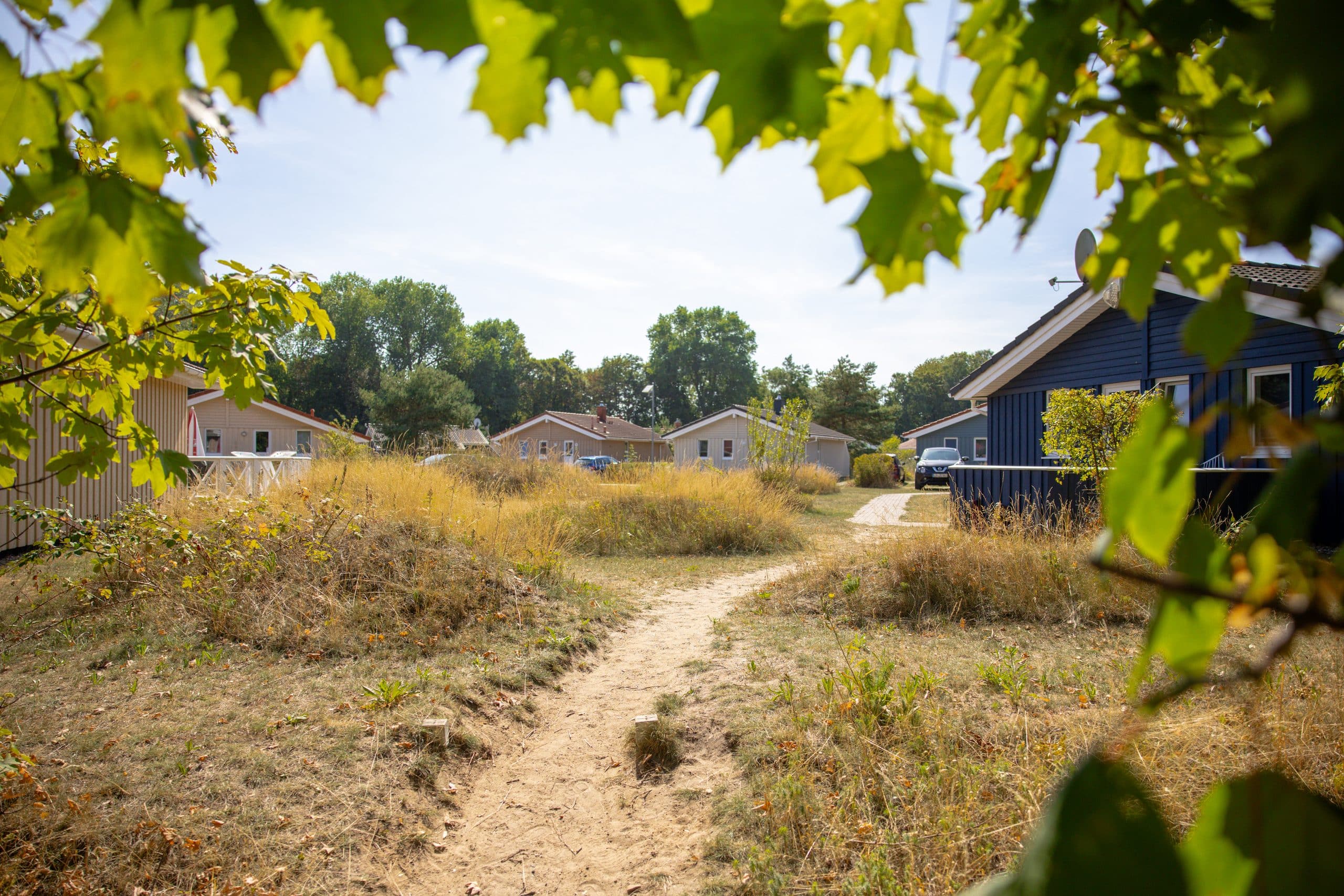 Herbst auf dem Priwall 9 Travemuende Landal Kooperation Aug 2026 19 © LTM scaled