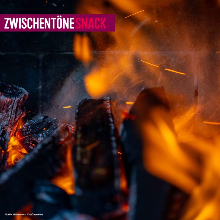 Lagerfeuer-Diplom und Bernsteine – Naturwerkstatt Priwall